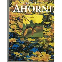 Ulmer Eugen Verlag Ahorne