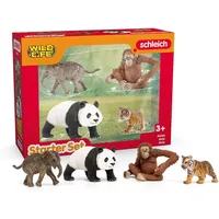 Schleich Wild Life Asien Starter-Set