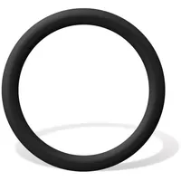 Fein Sicherungsring