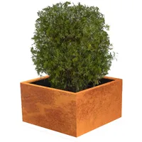 Palatino Exclusive Line Pflanzkübel eckig Clara (100 x 100