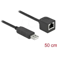 DeLock USB-A zu RJ45 Adapterkabel USB 2.0 RJ45, USB-A