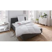 RIBECO »Emily«, warm, Füllung 80% Federn und 20% Daunen,