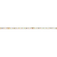 Brumberg Brumberg, LED Streifen, 15523027 (Weiss, 500 cm)