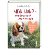 St. Benno Mein Hund – ein Geschenk des Himmels