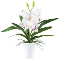Creativ-green Kunstblume Orchidee Cymbidie, weiß, im Topf, Höhe 53