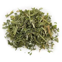 Aumüller Katzenminze 10 g grün