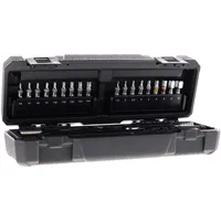 Topeak Torq Stick Pro 4-20 Nm Drehmomentschlüsselkasten - Silver