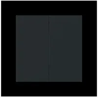 Busch-Jaeger Wippe 2-fach Smart Switch 6736 FoH-45M