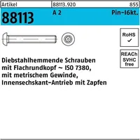 Hörger & Geßler Schraube R 88113 diebstahlh. Innen-6kt Zapfen