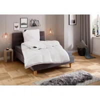 Hanse by RIBECO Kunstfaserbettdecke + Kopfkissen »Max« Unschlagbares Preisleistungsverhältnis!,