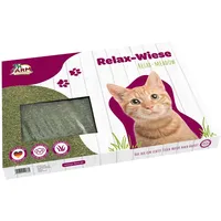 JR Farm Cat ESN Relax-Wiese