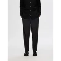 Selected 190 Leroy Pleat Regular Tapered Fit Hosen -