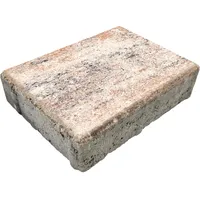 Diephaus Pflasterstein Ringo Muschelkalk 20 x 15 x 5