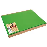 ProNappe 100 PROnappe Platzsets grün 30,0 x 40,0 cm