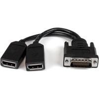 Startech StarTech.com 20cm LFH 59 auf Dual DisplayPort DMS