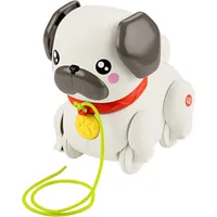 Fisher-Price Baby & Nachziehspielzeug FP Pets Gassi gehen mit