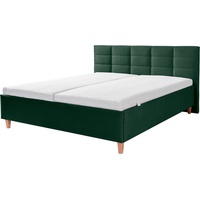 Alina Polsterbett ALINA "Ricardo", grün (opalgrün dmo 123), B:176cm