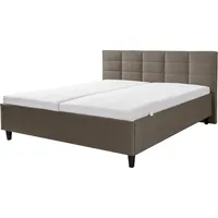 Alina Polsterbett ALINA "Ricardo", braun (braungrau dmo 159), B:176cm