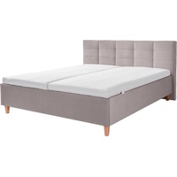 Alina Polsterbett ALINA "Ricardo", grau (mittelgrau xbo 19), B:176cm