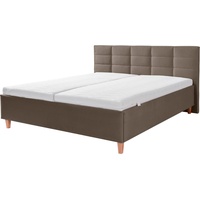 Alina Polsterbett ALINA "Ricardo", braun (braungrau dmo 159), B:176cm