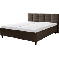 Alina Polsterbett ALINA "Ricardo", grau (umbragrau dmo 84), B:156cm