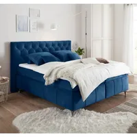 Lomadox Boxspringbett 180x200 cm PETARE-09 in der modernen Farbe