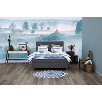 PLACES OF STYLE Boxspringbett PLACES OF STYLE "Nordica", grau