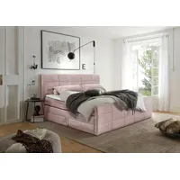 Ed exciting design Boxspringbett ED EXCITING DESIGN "Bolivia", rosa,