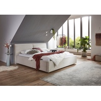 Meise Möbel meise.möbel Polsterbett Magnum wahlweise mit Bettkasten beige