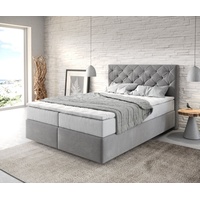 DeLife Boxspringbett Dream-Great 140x200 cm mit TFK Matratze und