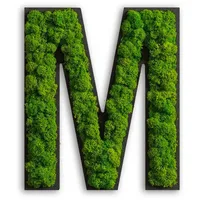 Moosbild Grün