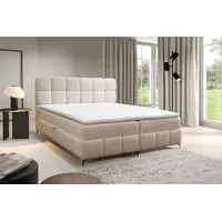 Fun Möbel Boxspringbett Bett Schlafzimmerbett SOPHIE 200x200cm Stoff Rolf