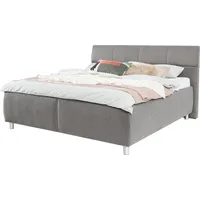 Alina Stauraumbett ALINA "Marike", grau (hellgrau gcp 49), B:219cm