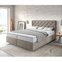 DeLife Boxspringbett Dream-Great 160x200 cm Mikrofaser Beige mit Matratze