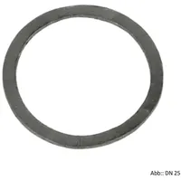 KSB Dichtring für Schmutzfänger Boa-s PN 6/16, DN 15