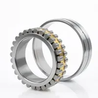 SKF Zylinderrollenlager NN3019 K.TN9SP