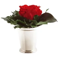 ROSEMARIE SCHULZ Heidelberg Infinity Blume in silberfarbenen Becher 1