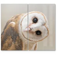 Deqori Herdabdeckplatten Glas | 2er Set 60x52 cm |