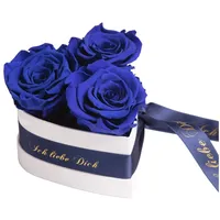 ROSEMARIE SCHULZ Heidelberg Infinity Rosenbox Herz - 3 konservierte