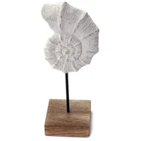 Creedwood Muschel AUFSTELLER Shell | Mangoholz, weiß, 31cm |