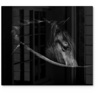 Deqori Herdabdeckplatte Glas | einteilig 60x52 cm | Motiv