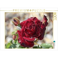 Calvendo Puzzle Zauberhafte Rosen 1000 Teile Lege-Größe 64x48cm Foto-Puzzle