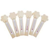 Eduplay Thermometer DIY Blumen 6er Set