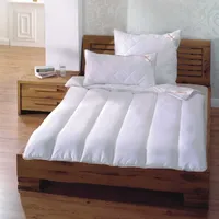 BestLivings Hochwertige Bettdecke 200x200cm inkl. Kopfkissen 40x80cm "Antibakterielle Sanitized®
