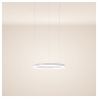 S.luce LED Ring Pendelleuchte Ø 40cm Gold
