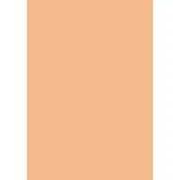 Maestro Drucker- und Kopierpapier A4 100 g/m2 100 Blatt