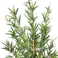 Atmosphera Créateur d'intérieur Künstlicher Bambus H 120 cm -