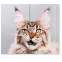 Deqori Herdabdeckplatten Glas | 2er Set 60x52 cm |
