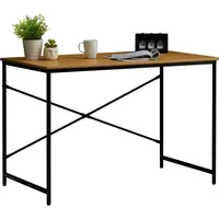 CARO-Möbel Schreibtisch IZEDA im Industrial Stil aus Metall in