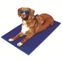 Ollesch Hundematte Kühlmatte Kühlkissen Kühldecke für Hund und Katze